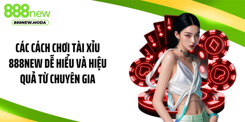 Các cách chơi tài xỉu 888NEW dễ hiểu và hiệu quả từ chuyên gia