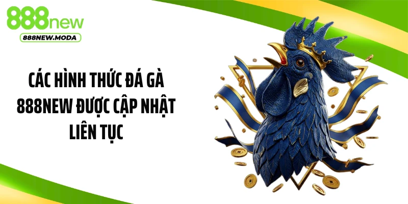 Các hình thức đá gà 888NEW được cập nhật liên tục