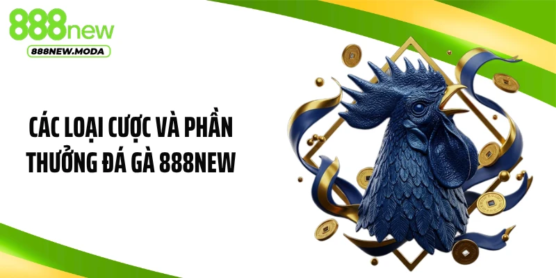 Các loại cược và phần thưởng đá gà 888NEW
