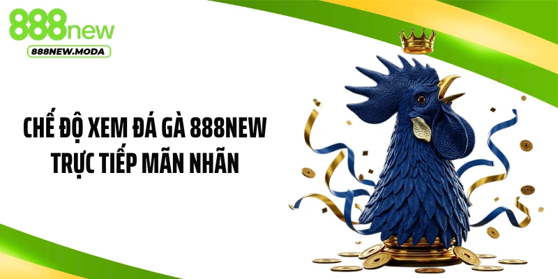 Chế độ xem đá gà 888NEW trực tiếp mãn nhãn