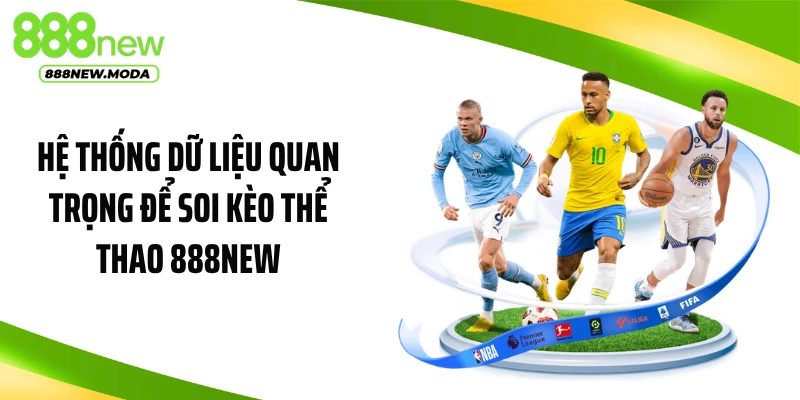 Hệ thống dữ liệu quan trọng để soi kèo thể thao 888NEW